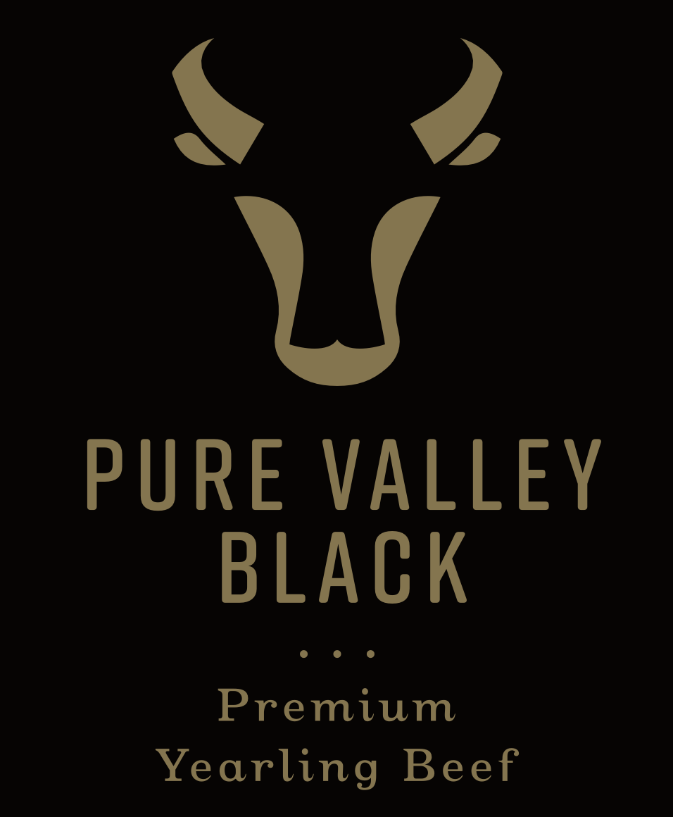 PVB